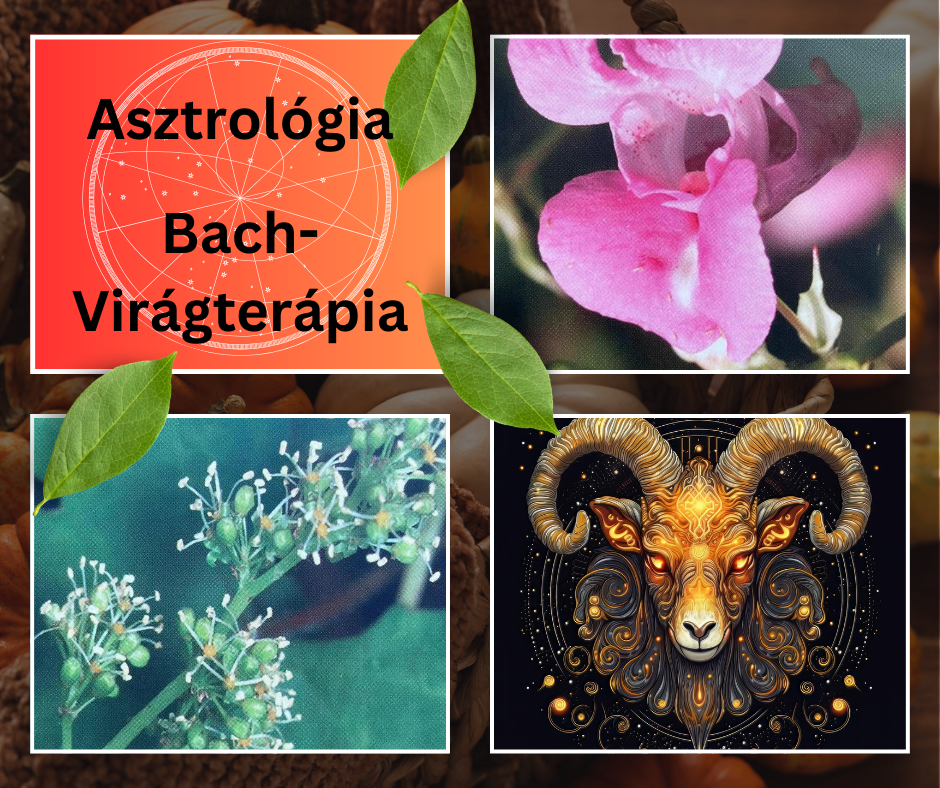 Kép: Asztrotolmács szerkesztés – Canva, AI és Stock elemek