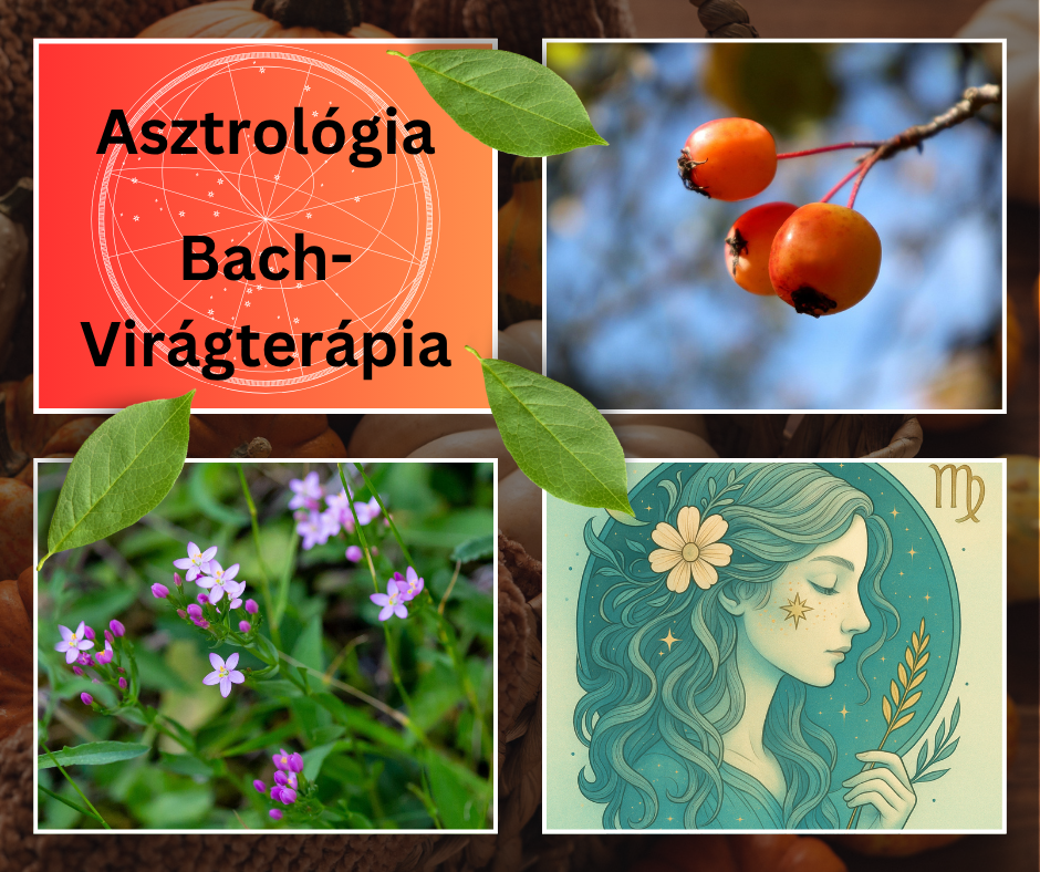 Kép: Asztrotolmács szerkesztés – Canva, AI és Stock elemek 